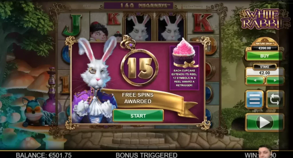 Выпала бонусная игра